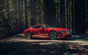 Красный автомобиль Bentley Continental GT V8, 2020 года в лесу
