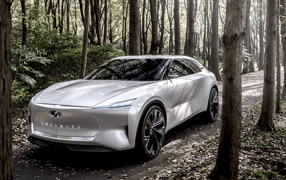 Silver car Infiniti Qs Inspiration, 2019 in the forest