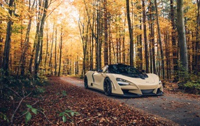 Fast car McLaren 720S in the forest