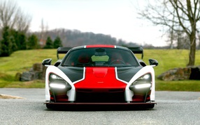 Спортивный автомобиль McLaren MSO Senna вид спереди 