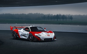 Спортивный McLaren MSO P1 GTR Ayrton Senna 2019 года на трассе