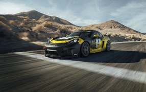 Спортивный автомобиль Porsche Cayman GT4 на трассе 
