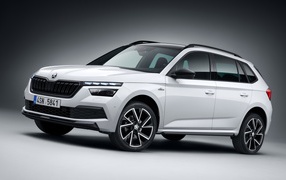 Внедорожник Skoda Kamiq Monte 2019 года на сером фоне