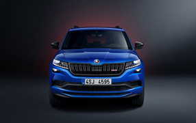 Синий автомобиль Skoda Kodiaq RS 2019 года вид спереди