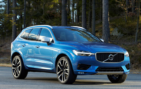 Blue car Volvo V60 on the background of the forest