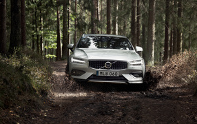 Серебристый автомобиль Volvo V60 T5 едет по грязной лесной дороге 