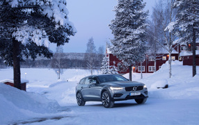 Volvo V60 car on a background of snowy trees