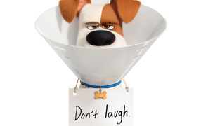Jack Russell Terrier Max from the cartoon The Secret Life of Pets 2