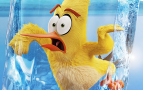 Желтая птица во льду мультфильм The Angry Birds в кино 2