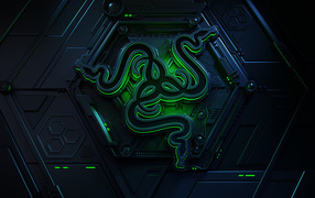 Логотип компании  Razer на черном фоне