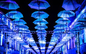 Аллея с голубыми зонтиками с подсветкой