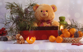Медвежонок Тедди в коробке с еловой веткой на столе с мандаринами 