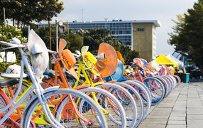 Женские велосипеды со шляпками стоят в ряд 