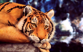 Большой нарисованный тигр лежит на камне