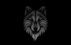 Нарисованный белый волк на черном фоне