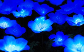 Beautiful fantastic blue flowers