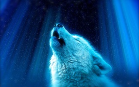 Fantastic white wolf howls at the moon
