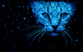 Neon fantastic cat on a black background.