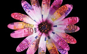 Flower of euro notes on a black background