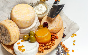 Cheese with mold on the plate with olives, nuts and honey