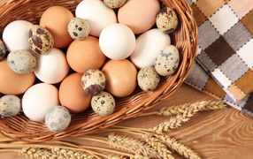 Chicken and quail eggs in a basket on the table with spikelets