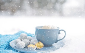 Cup of coffee with marshmallows on a plate with gingerbread cookies in winter