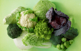 Different types of cabbage on a green background close-up