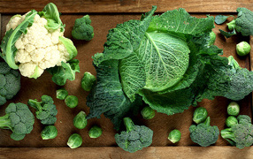 Different types of cabbage on the table top view