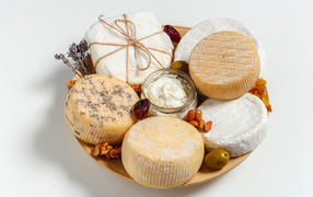 Разные виды сыра на тарелке с орехами на сером фоне