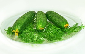 Green cucumbers lie on a white plate with dill