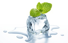 Melting ice cube with a leaf of mint on a white background