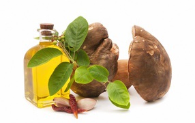 Грибы на белом фоне с оливковым маслом и чесноком