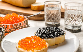 Sandwiches with red and black caviar on the table with vodka