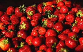 Appetizing sweet ripe strawberries closeup