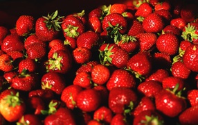 Аппетитная сладкая спелая клубника крупным планом