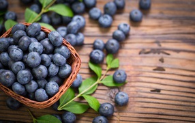 Blue blueberries in a basket on the table