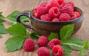 Cup with fresh raspberries on a table with green leaves