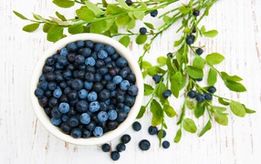 Fresh blueberries on a table with branches