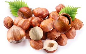 Lots of hazelnuts on a white background