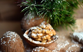 Грецкие орехи посыпанные сахарной пудрой на столе с еловой веткой