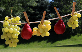 Белый виноград и красные груши на веревке