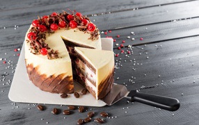 Аппетитный праздничный торт с шоколадом и ягодами вишни 