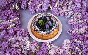Delicious berry pie with lilac flowers