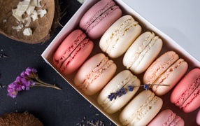 Разноцветный десерт макарон в коробке на столе