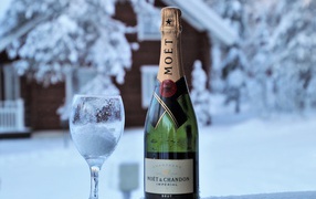 A glass in the snow with a bottle of champagne