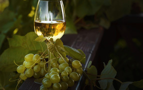 White wine with white grapes