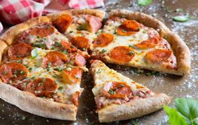 Appetizing pizza with slices of sausage and cheese