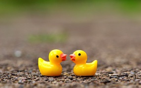 Две игрушечных желтых уточки на асфальте 