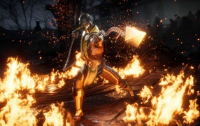 Скриншот компьютерной игры Mortal Kombat 11, 2019