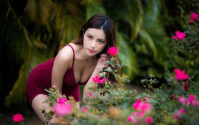 Девушка азиатка в красивом красном платье у куста роз